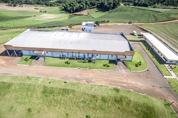 Dipães anuncia crescimento de 60%