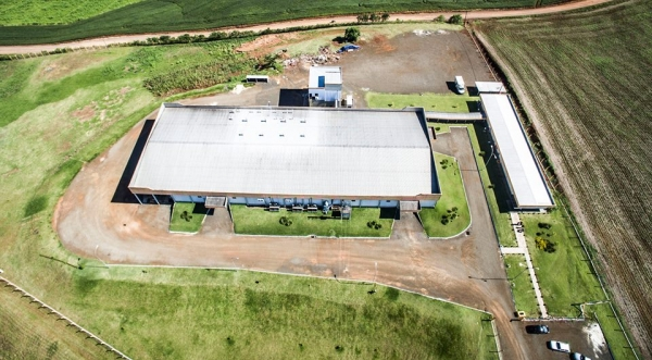 Dipães anuncia crescimento de 60%