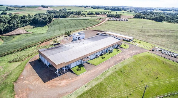 Dipães anuncia crescimento de 60%