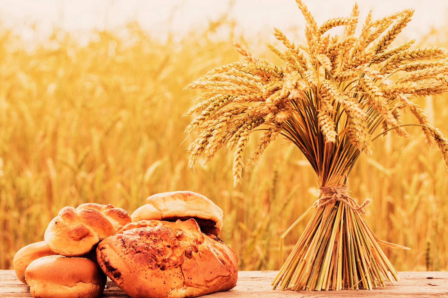 A trigo-dependência e sua estranha história